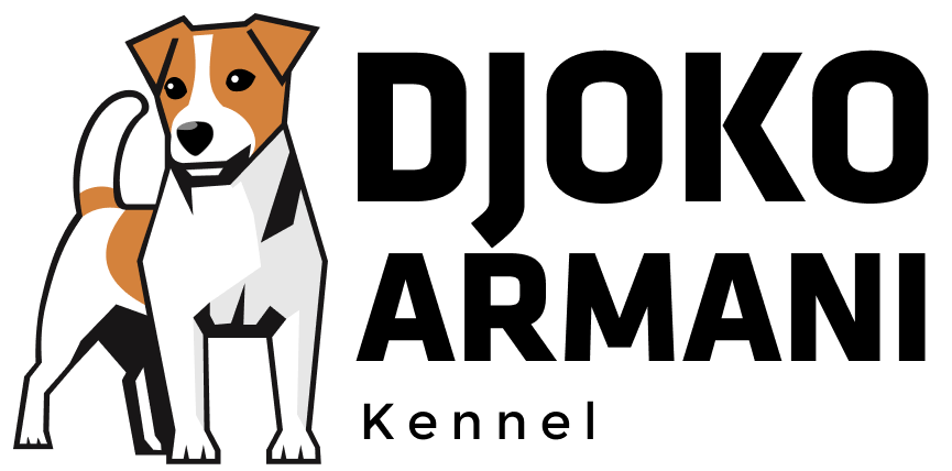 Djoko Armani Kennel
